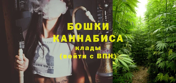 дурь Арсеньев