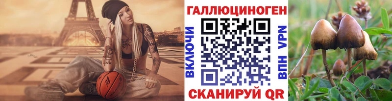 купить  сайты  Байкальск  Псилоцибиновые грибы Cubensis 